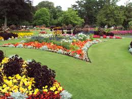 Garden Flower